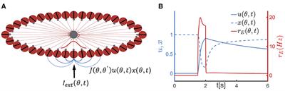 The synaptic correlates of serial position effects in sequential working memory